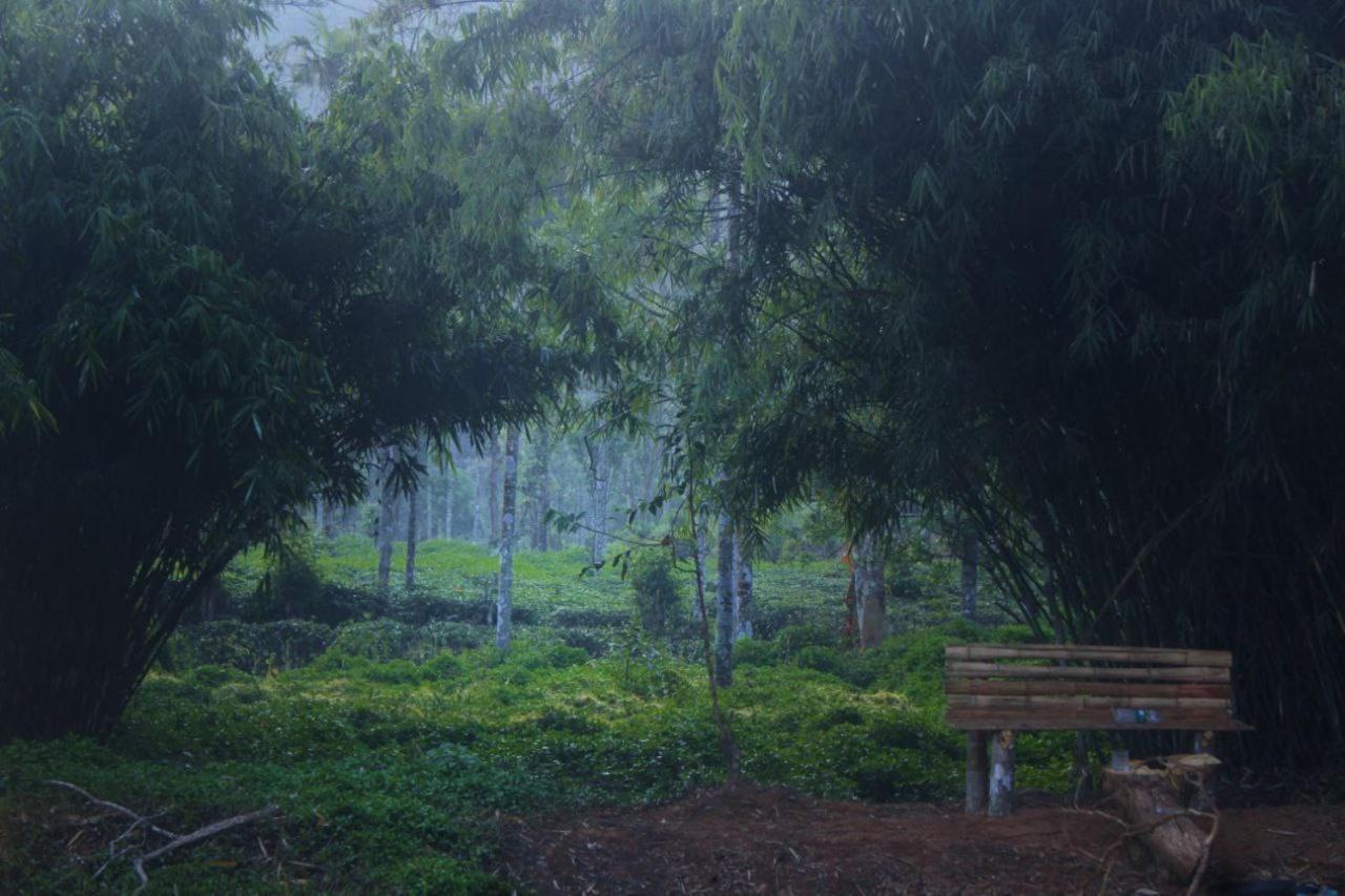 Manor Magnifico - Nature 维特利 外观 照片